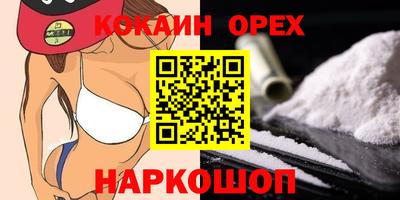 крисы Будённовск