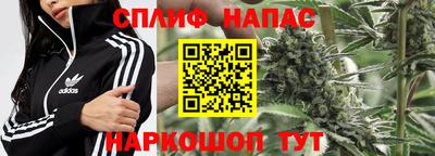 прущие грибы Бузулук